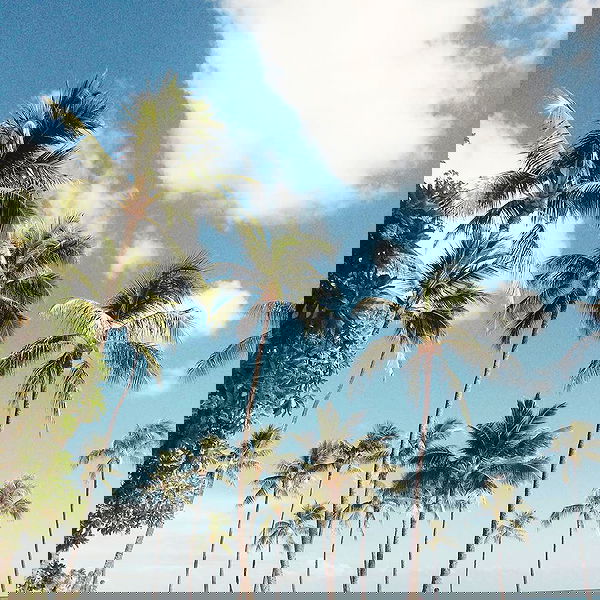 victoriaturnerr image ~ Altpins