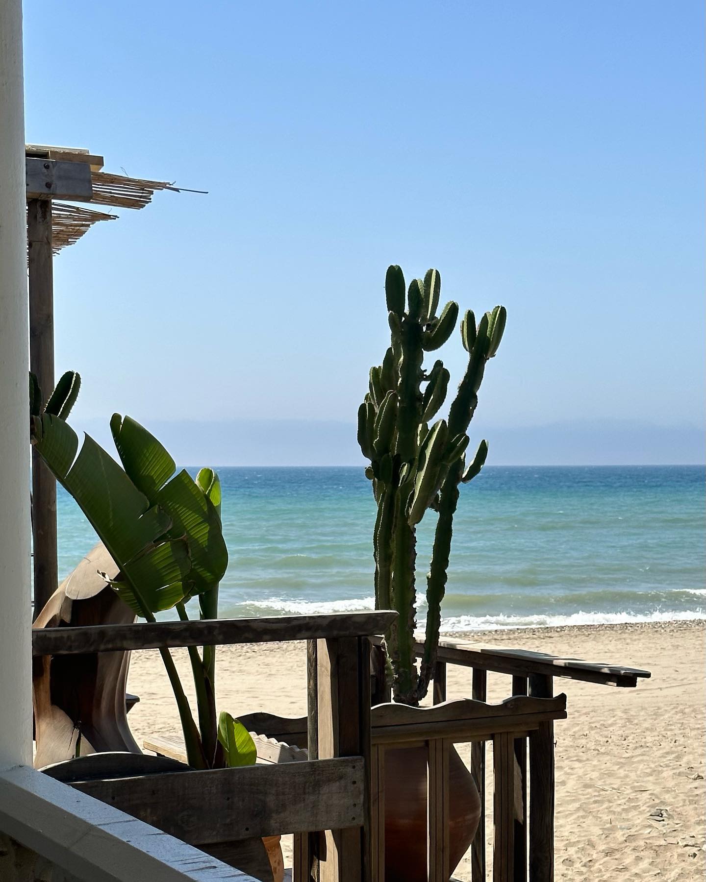 victoriaturnerr instagram image archive image