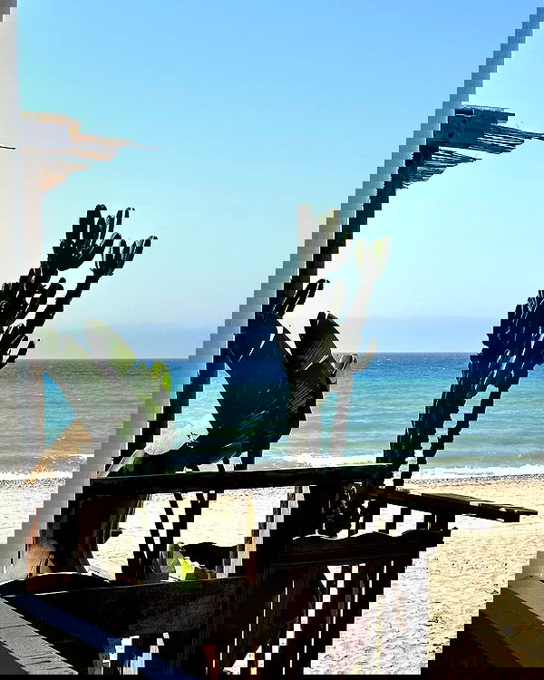 victoriaturnerr image ~ Altpins