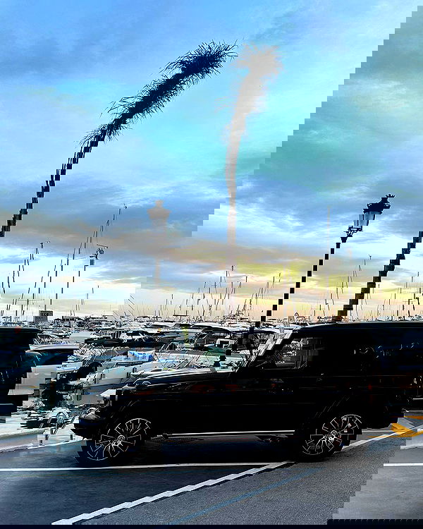 victoriaturnerr image ~ Altpins