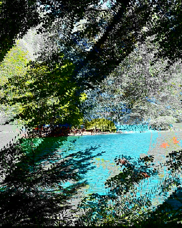 victoriaturnerr image ~ Altpins