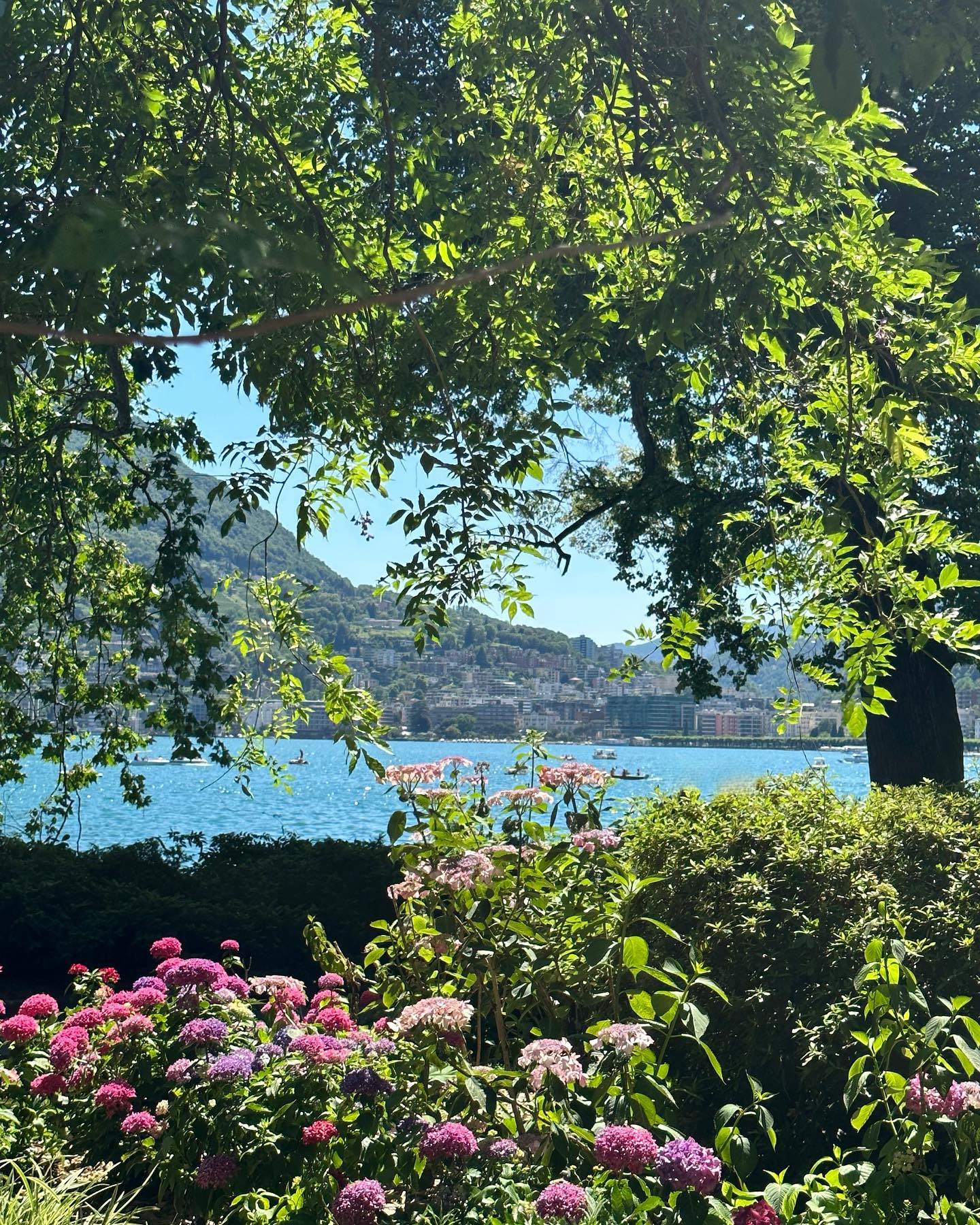 victoriaturnerr instagram image archive image