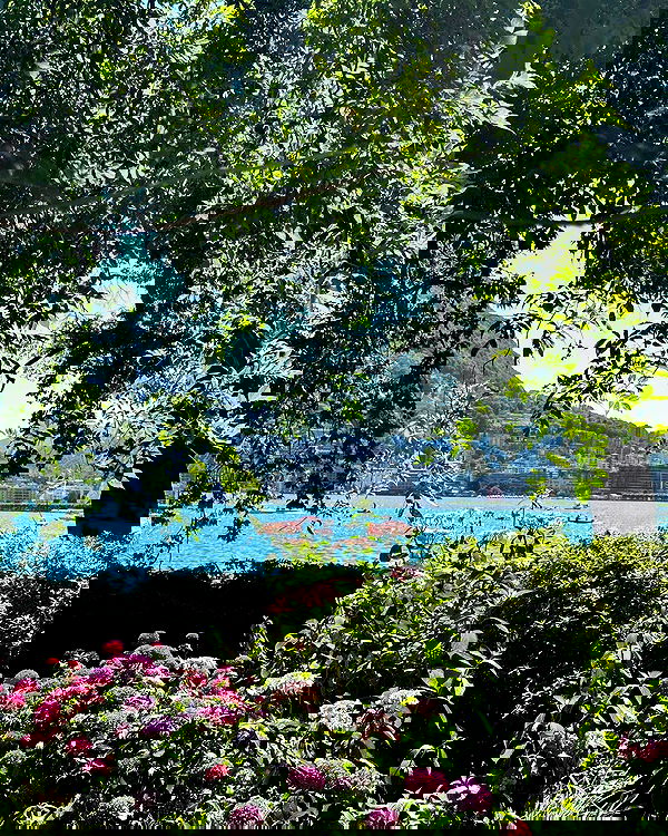 victoriaturnerr image ~ Altpins