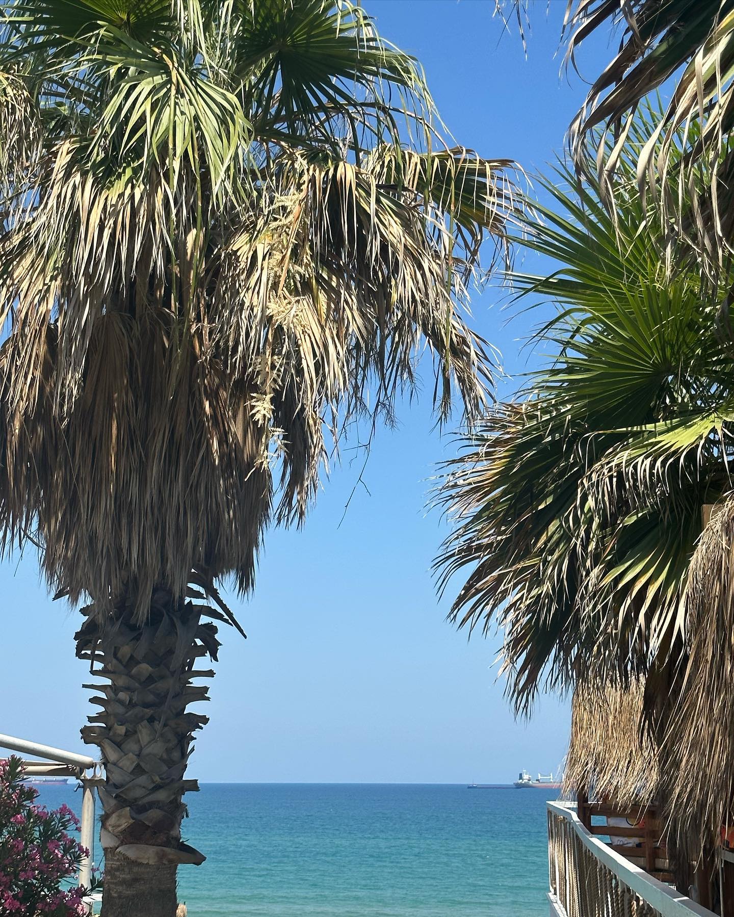 victoriaturnerr instagram image archive image