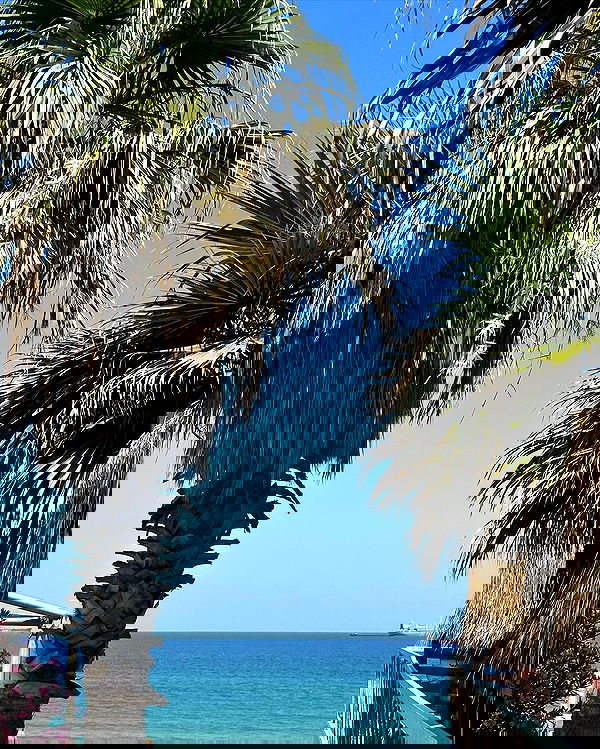 victoriaturnerr image ~ Altpins