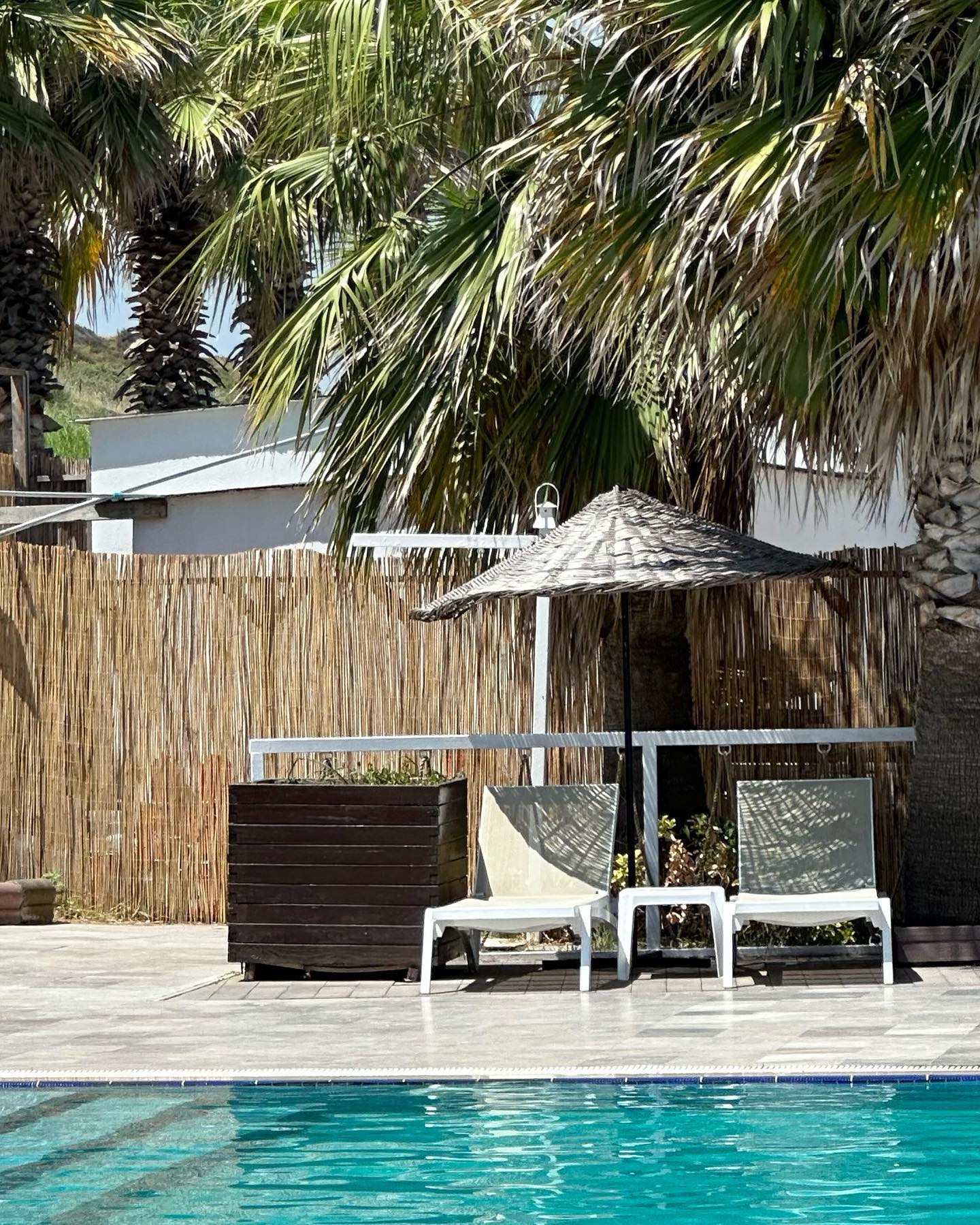 victoriaturnerr instagram image archive image