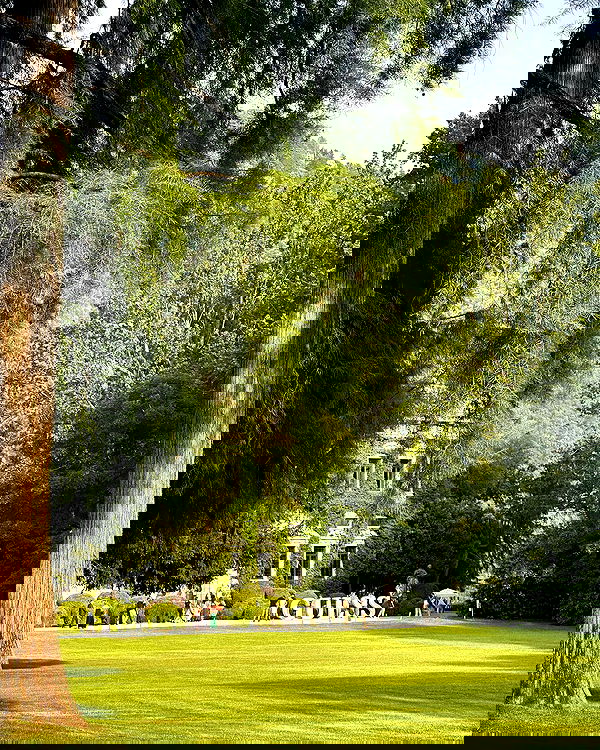 victoriaturnerr image ~ Altpins