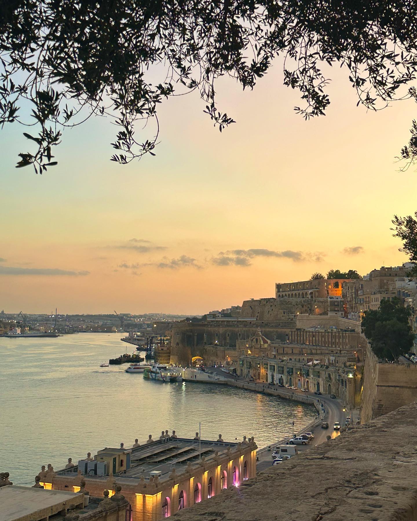 victoriaturnerr instagram image archive image