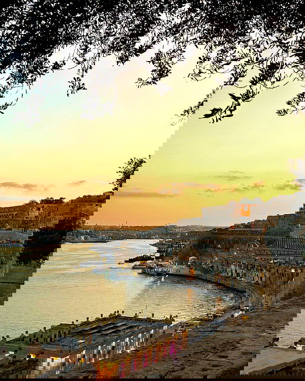 victoriaturnerr image ~ Altpins