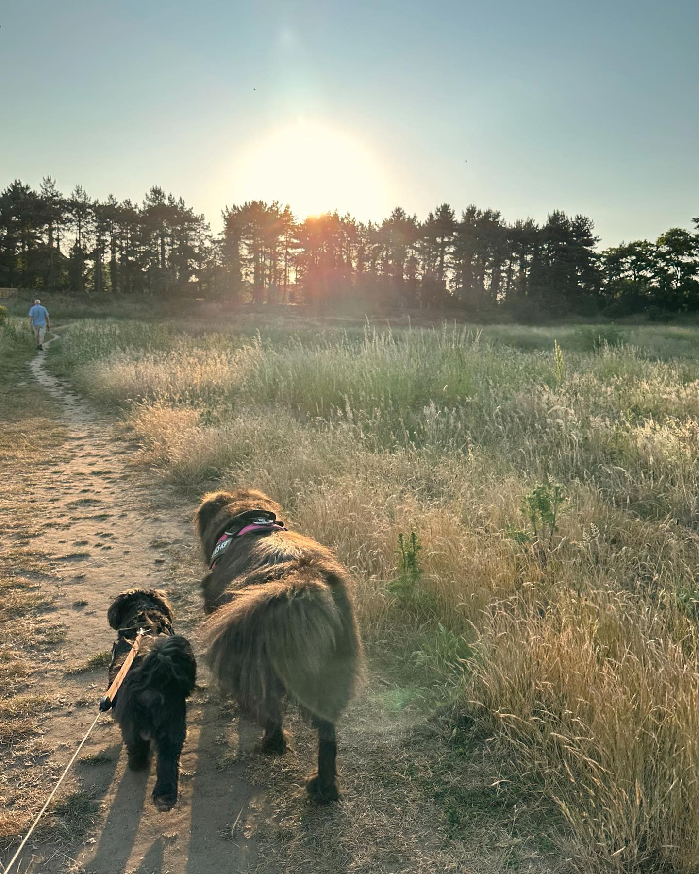 victoriaturnerr instagram image archive image