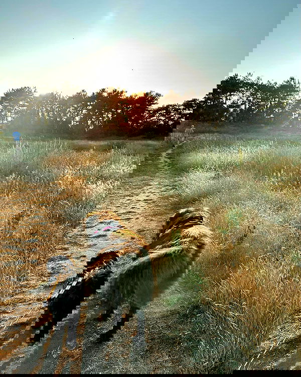 victoriaturnerr image ~ Altpins