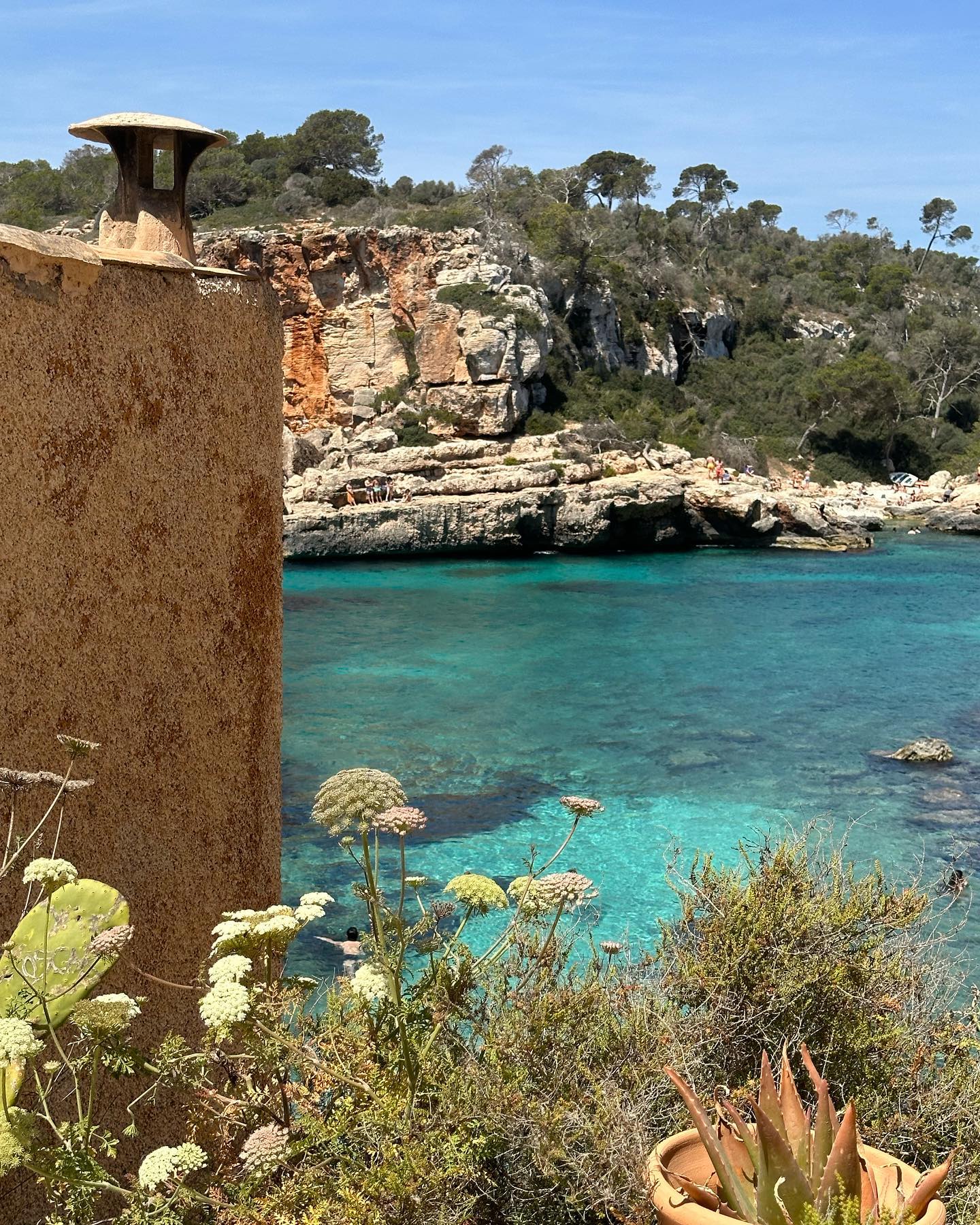 victoriaturnerr instagram image archive image