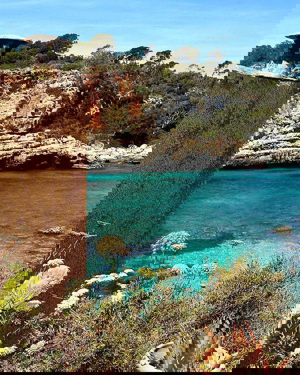 victoriaturnerr image ~ Altpins