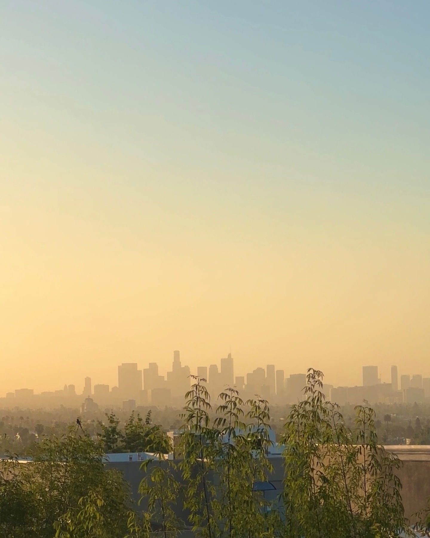 victoriaturnerr instagram image archive image