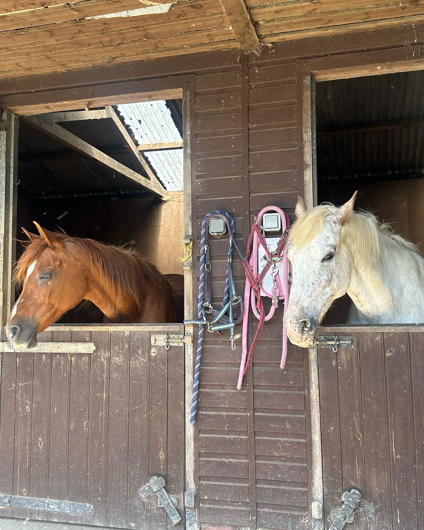 victoriaturnerr instagram image archive image