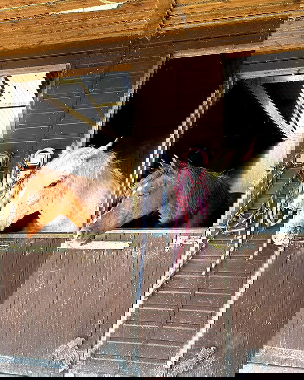 victoriaturnerr image ~ Altpins