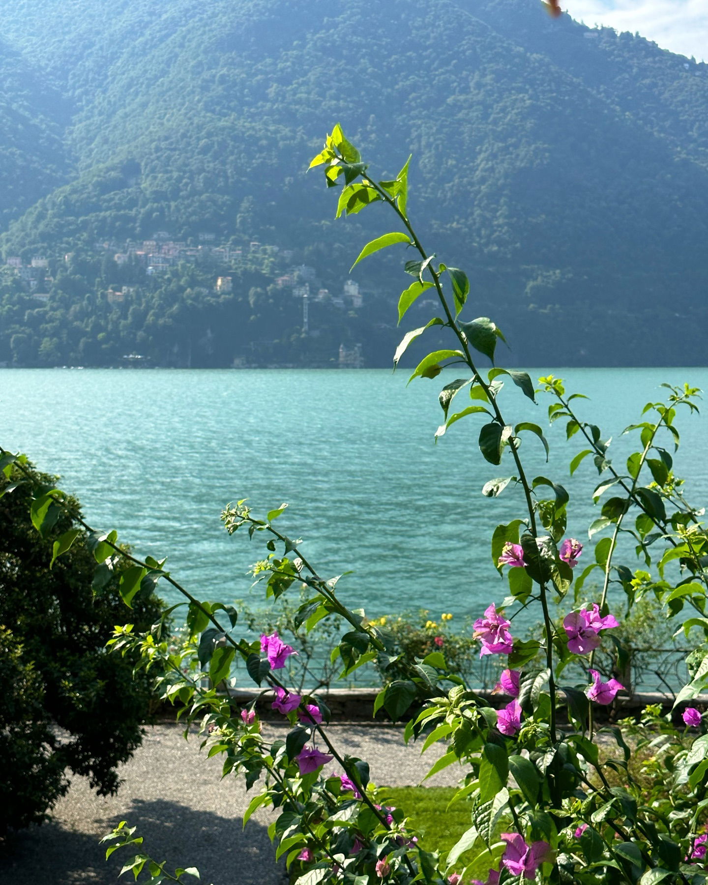 victoriaturnerr instagram image archive image