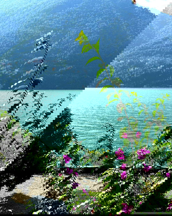 victoriaturnerr image ~ Altpins