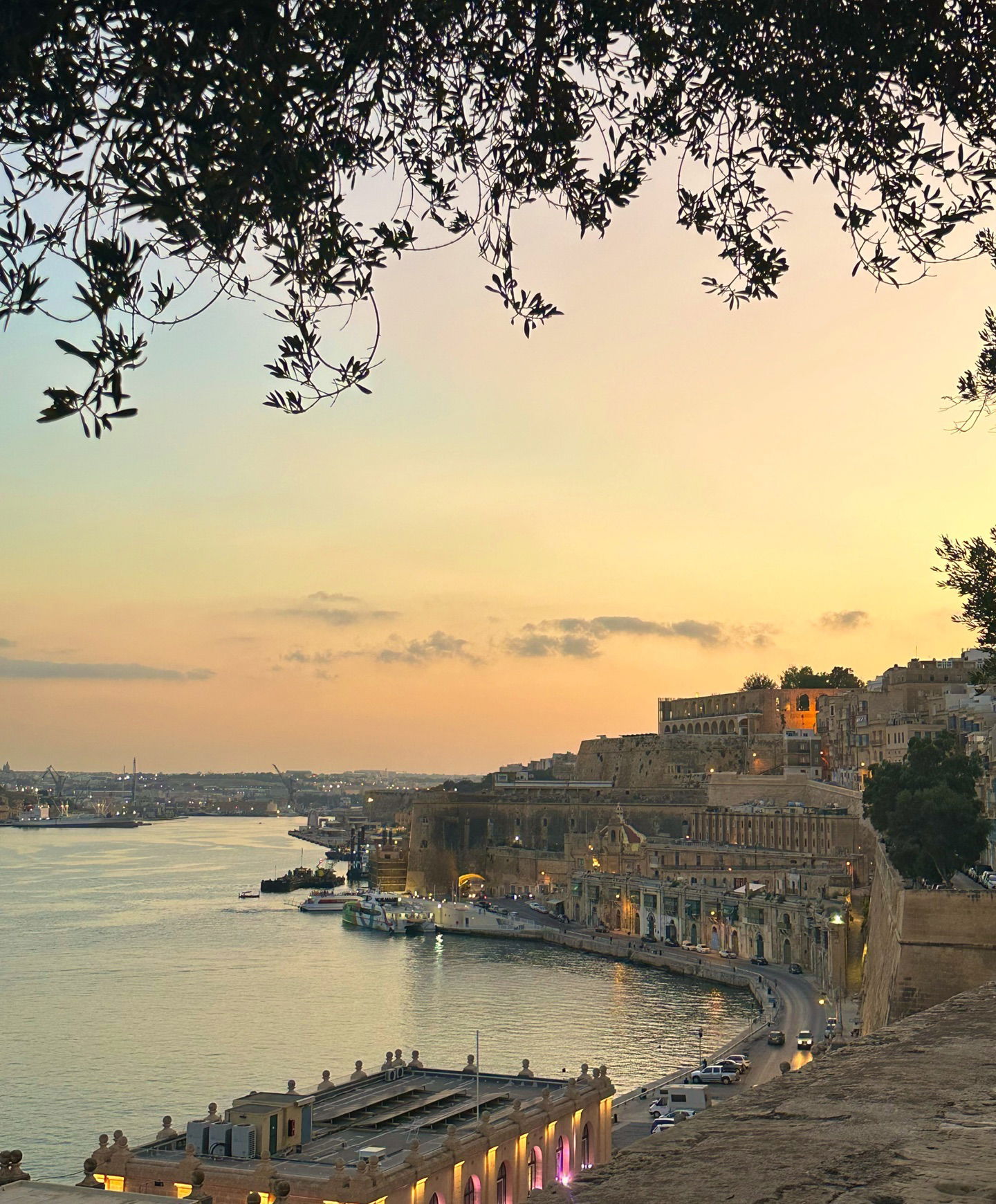 victoriaturnerr instagram image archive image