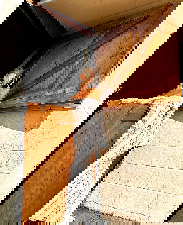 victoriaturnerr image ~ Altpins