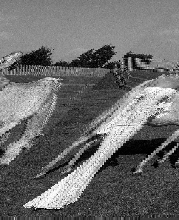 victoriaturnerr image ~ Altpins