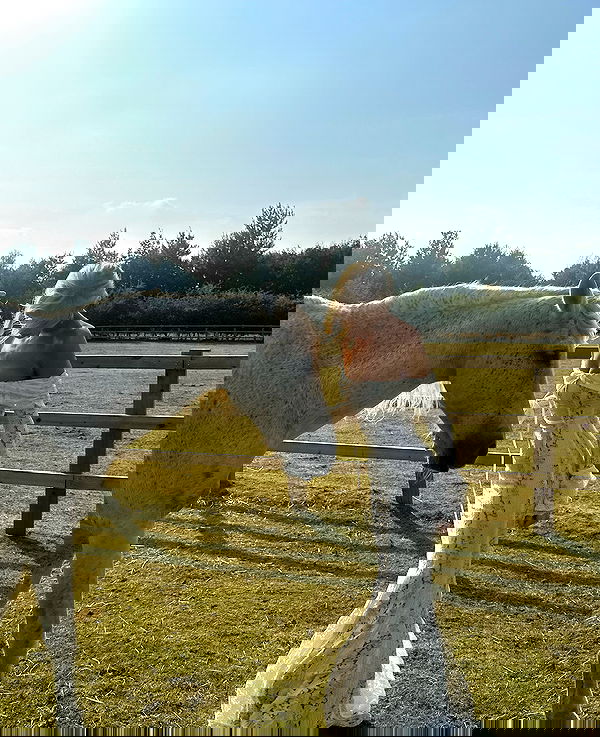 victoriaturnerr image ~ Altpins