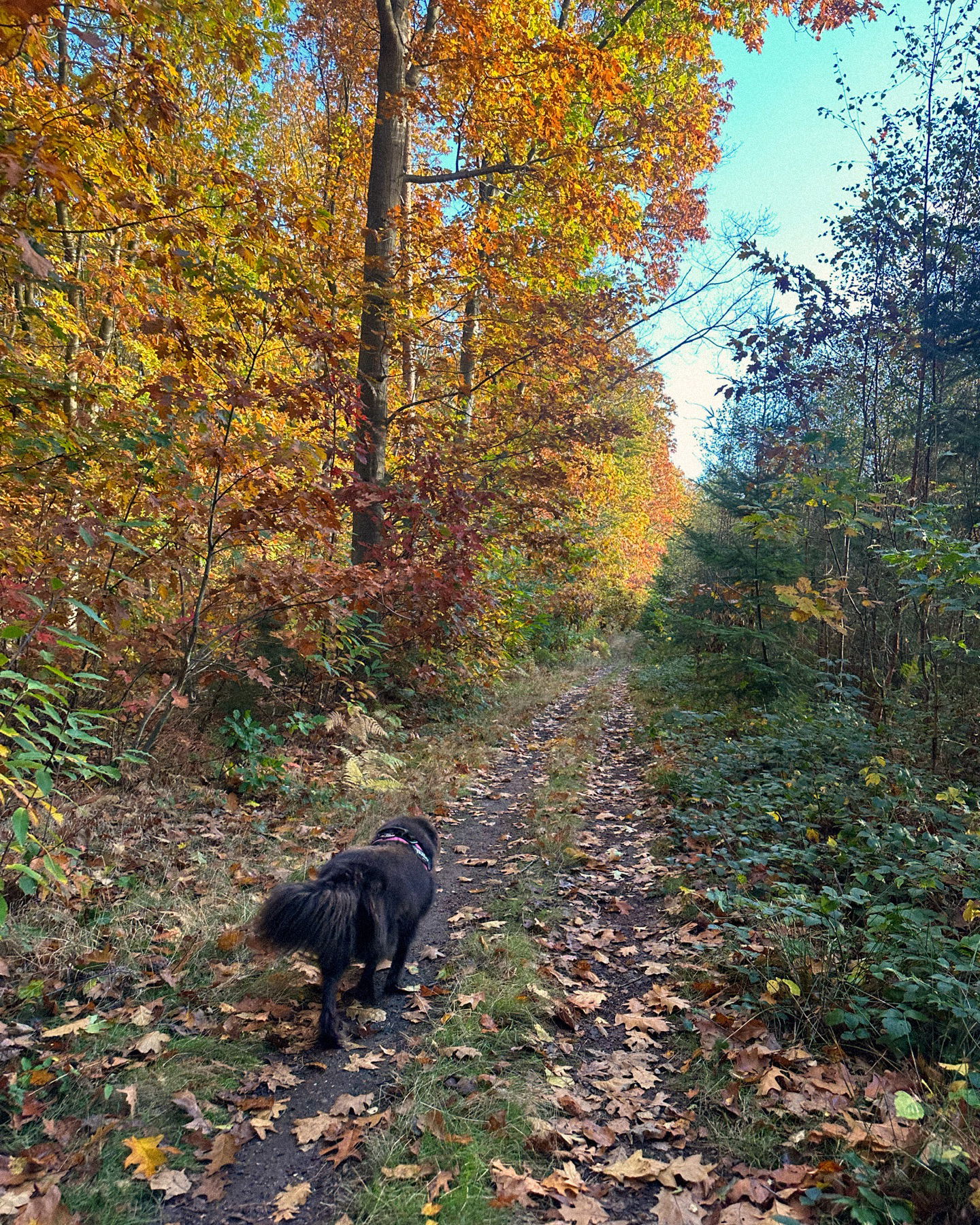 victoriaturnerr instagram image archive image