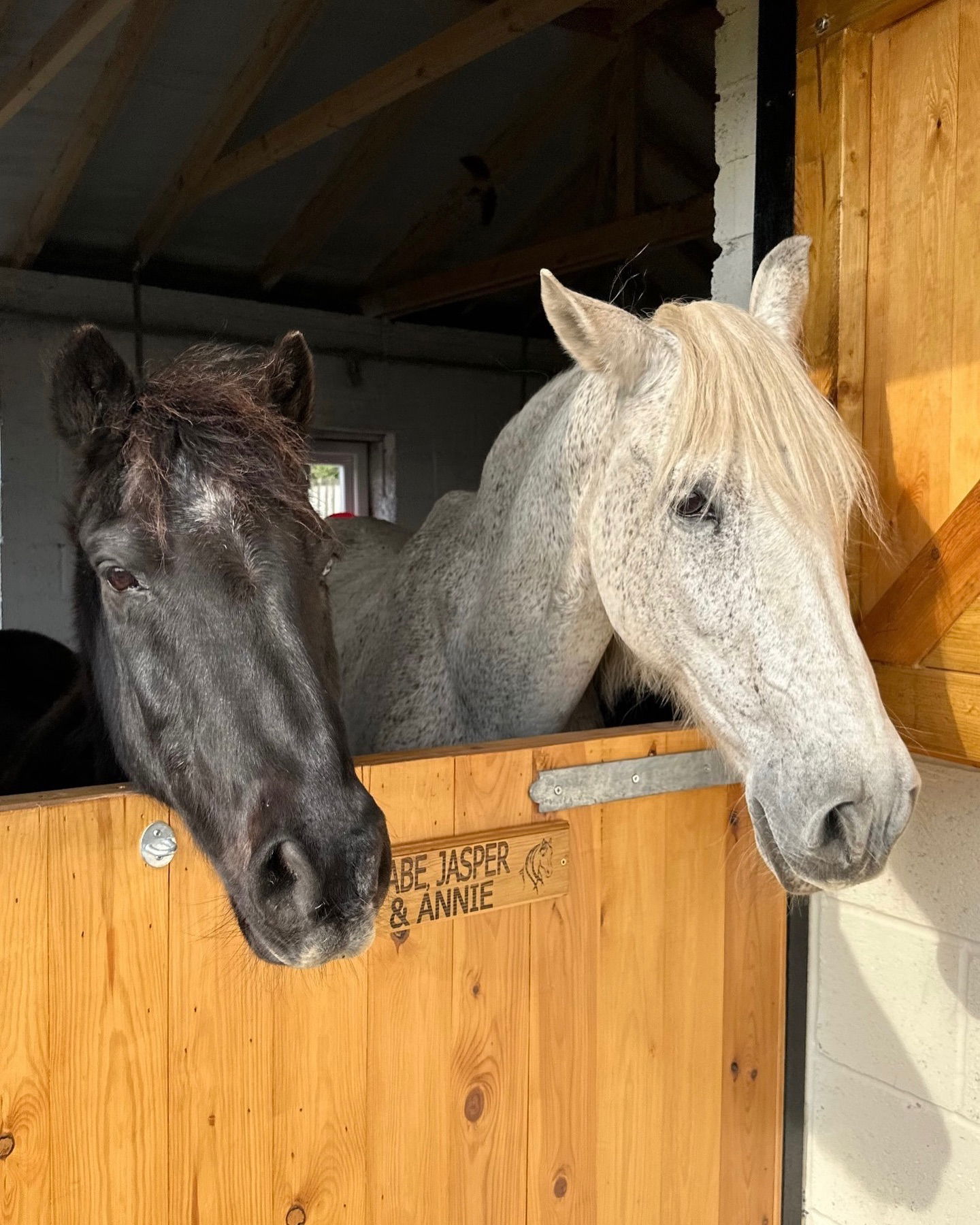 victoriaturnerr instagram image archive image