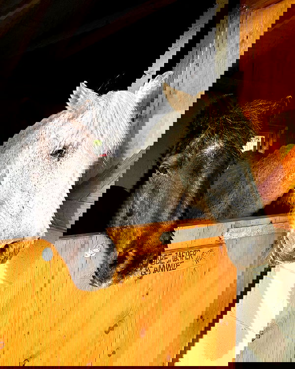 victoriaturnerr image ~ Altpins