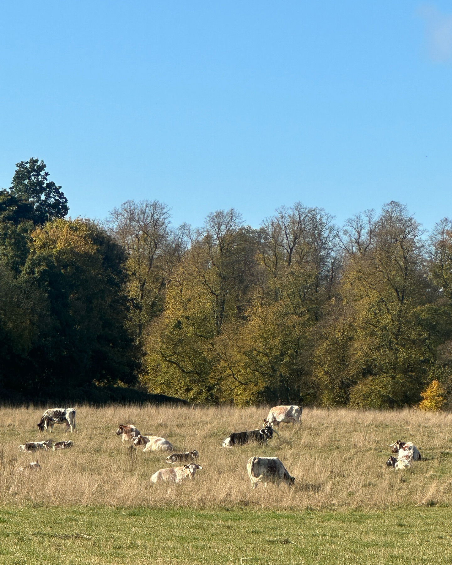 victoriaturnerr instagram image archive image