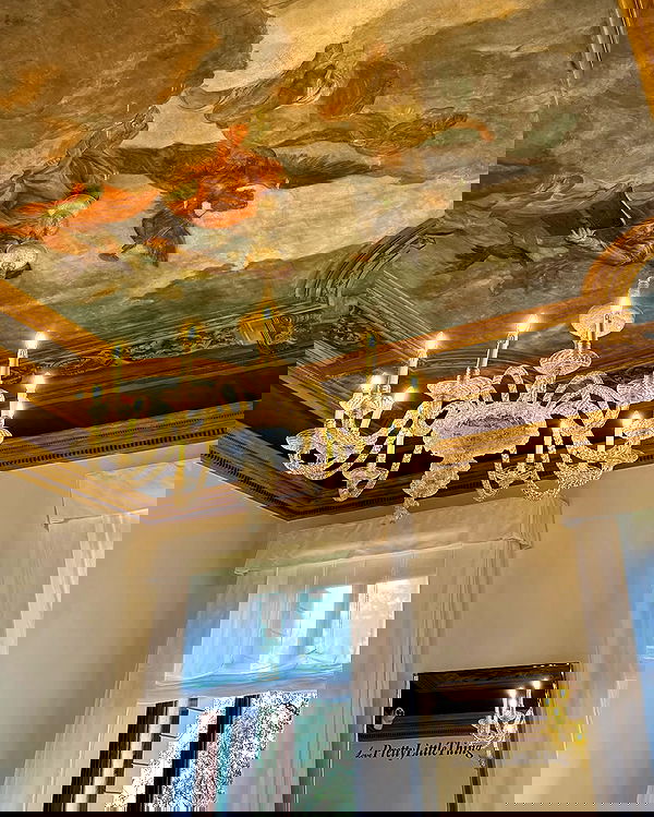 victoriaturnerr image ~ Altpins