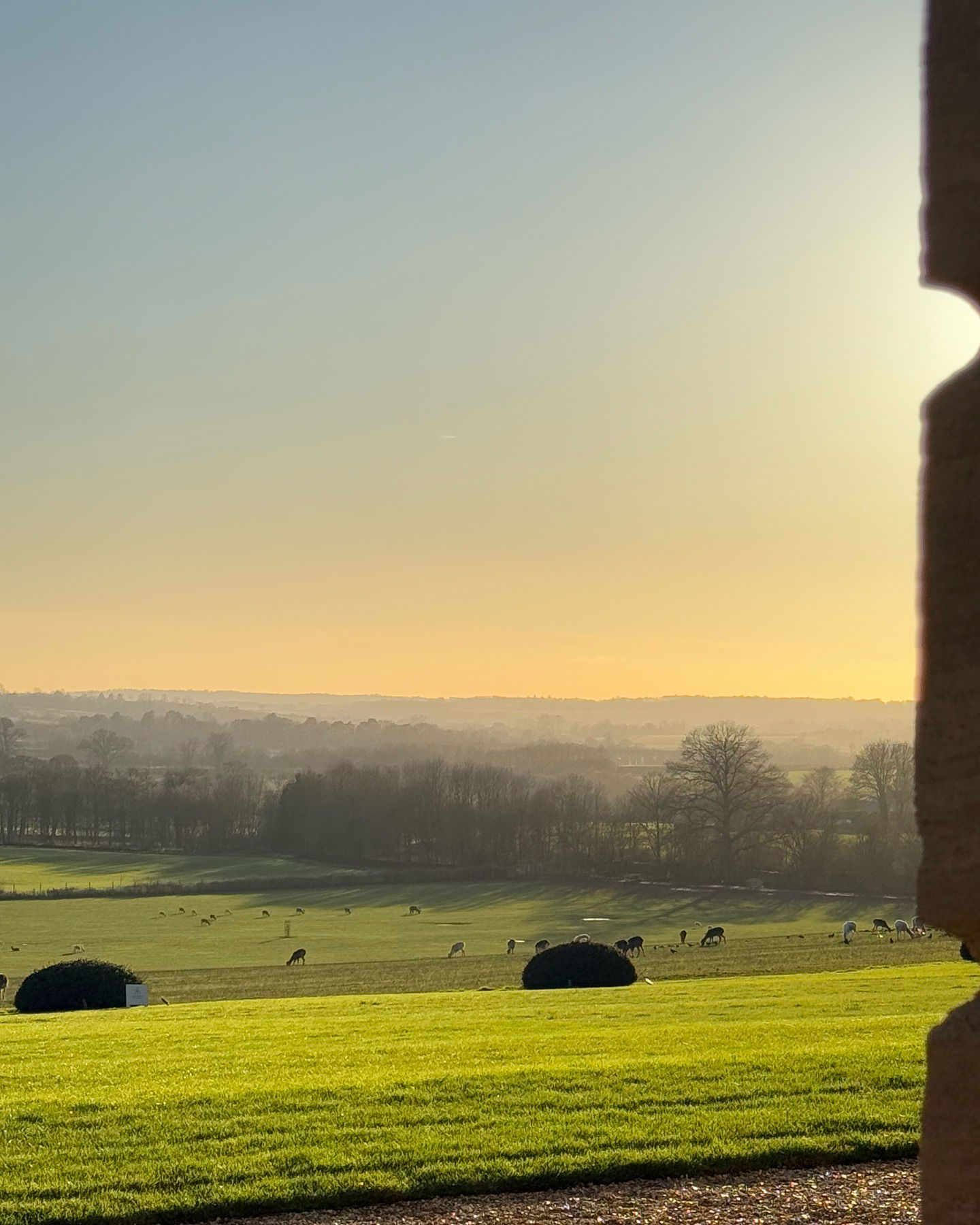 victoriaturnerr instagram image archive image