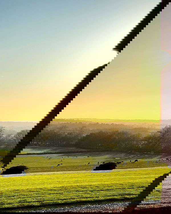 victoriaturnerr image ~ Altpins