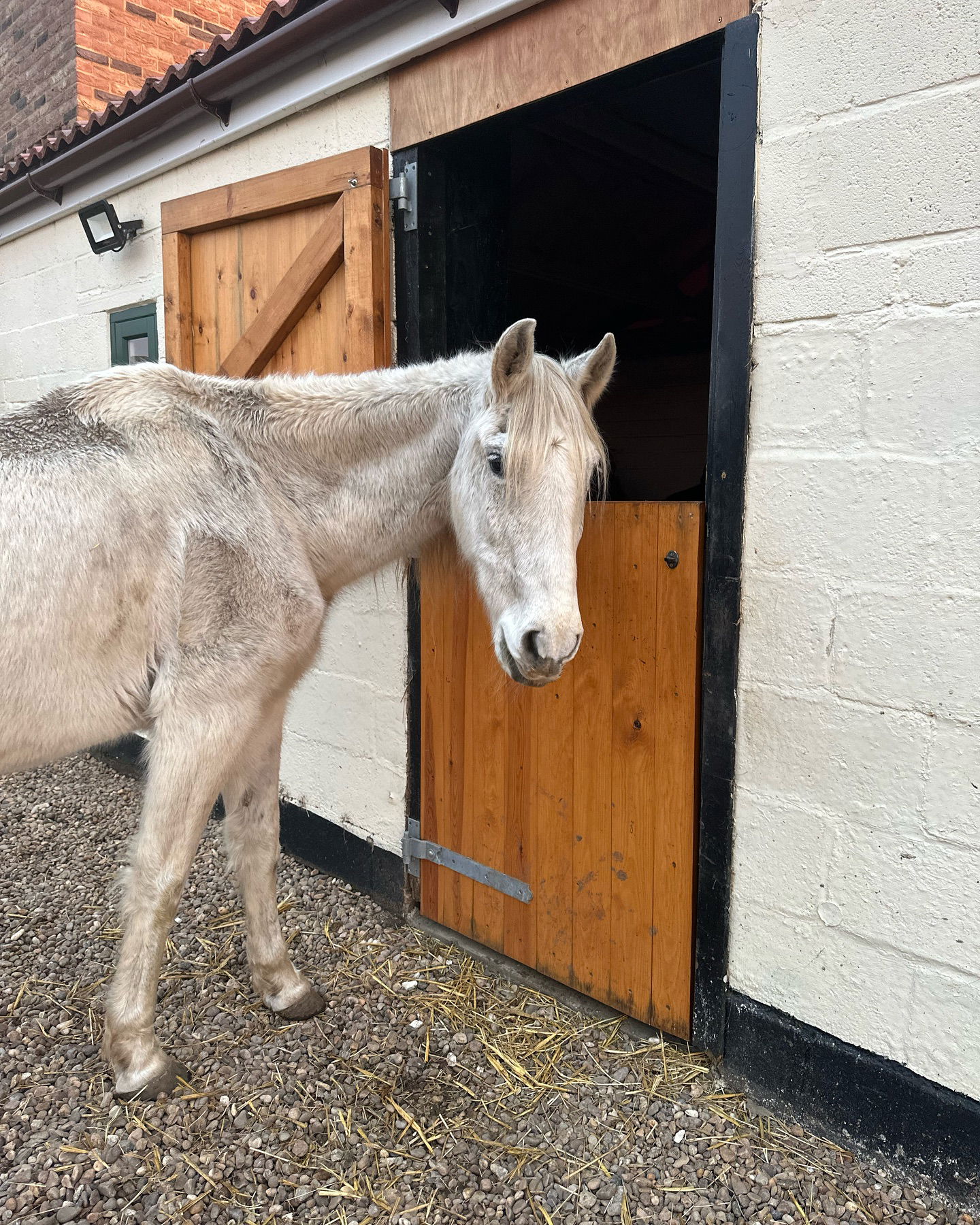 victoriaturnerr instagram image archive image