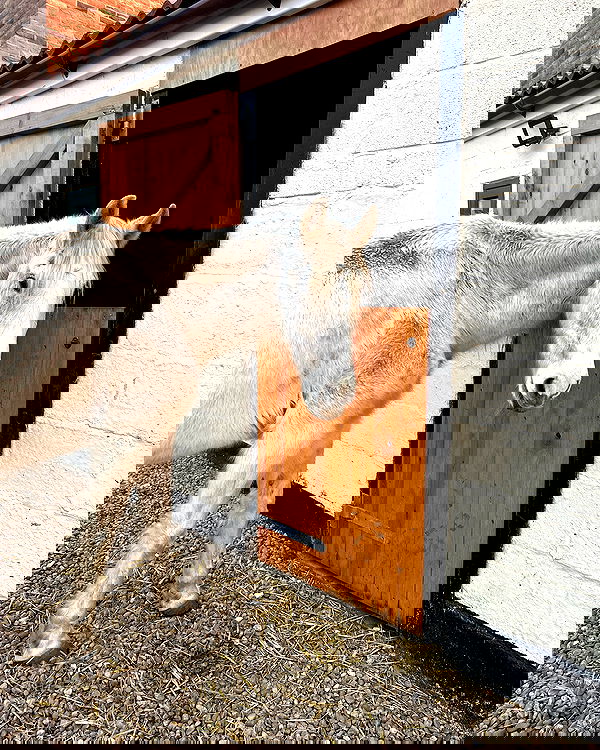 victoriaturnerr image ~ Altpins