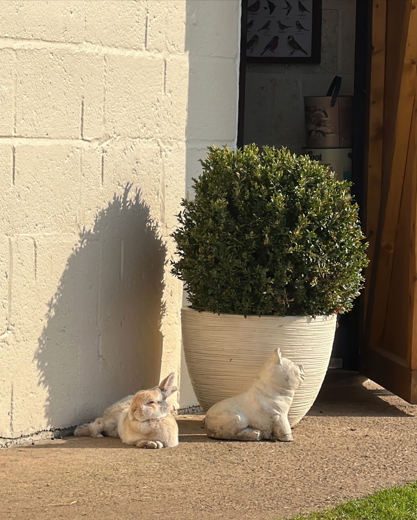 victoriaturnerr instagram image archive image