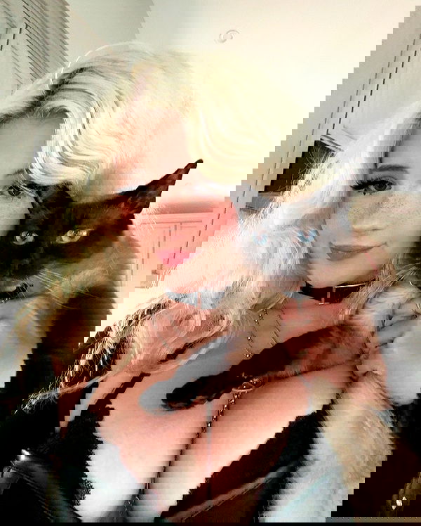 viezery viezery archive image