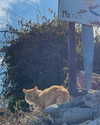 virginia.battiston Altpins Profile Picture