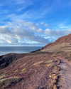 virginia.battiston Altpins Profile Picture