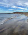 virginia.battiston Altpins Profile Picture