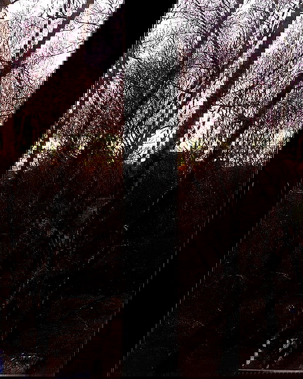 vive.la.lucy vive.la.lucy archive image