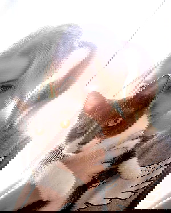 vive.la.lucy vive.la.lucy archive image