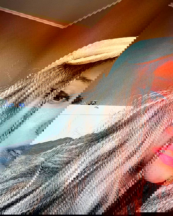 vive.la.lucy vive.la.lucy archive image