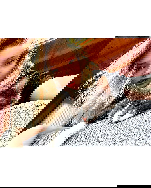 vive.la.lucy vive.la.lucy archive image