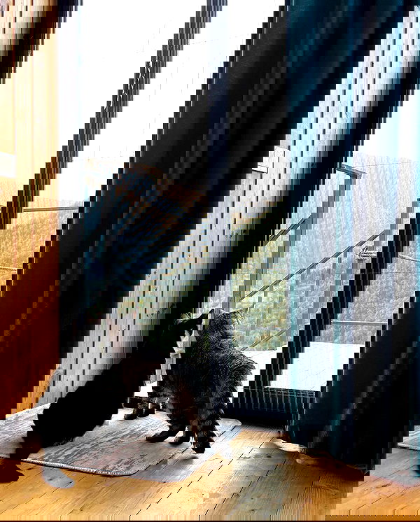 vive.la.lucy vive.la.lucy archive image