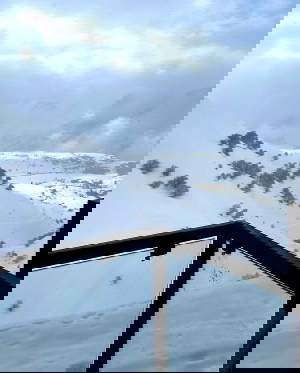 vive.la.lucy vive.la.lucy archive image