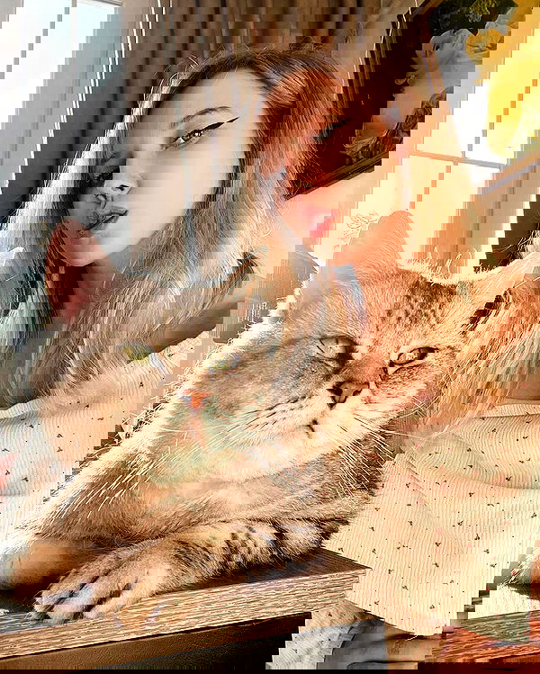 vive.la.lucy vive.la.lucy archive image