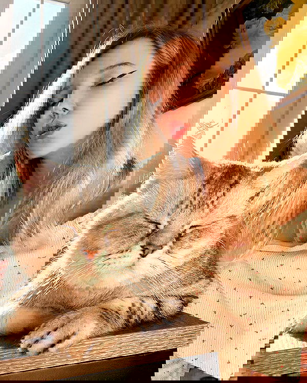 vive.la.lucy vive.la.lucy archive image