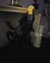 vvickedpeaxh_ Altpins Profile Picture