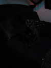 vvickedpeaxh_ Altpins Profile Picture